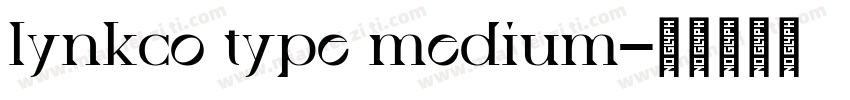 lynkco type medium字体转换